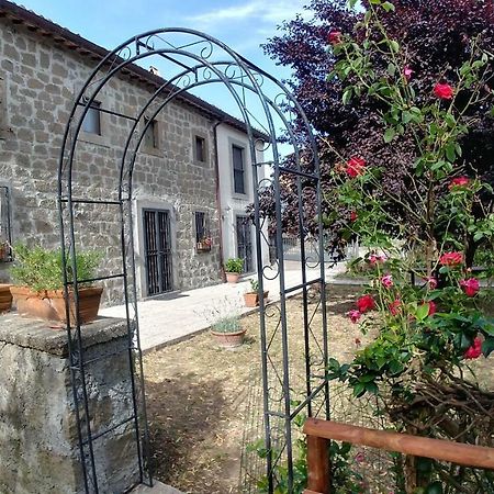 B&B Paternocchio Montefiascone Esterno foto