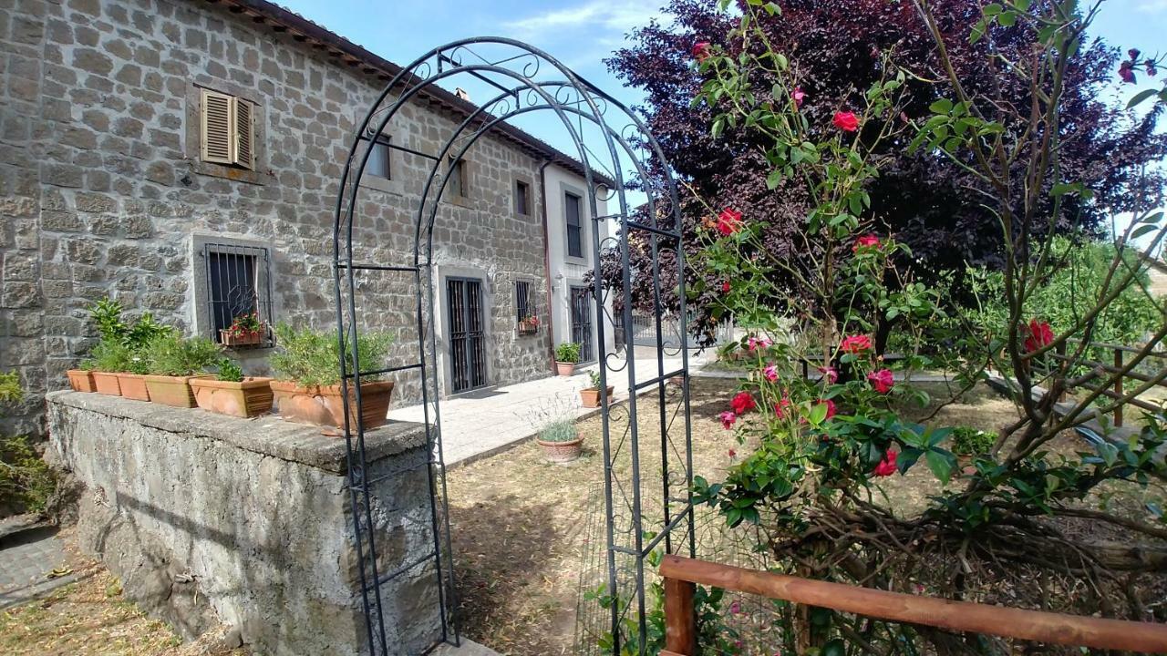 B&B Paternocchio Montefiascone Esterno foto