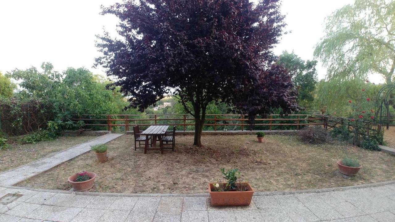 B&B Paternocchio Montefiascone Esterno foto