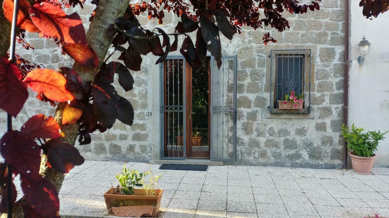 B&B Paternocchio Montefiascone Esterno foto